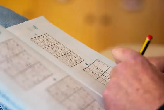 Solucionador de Sudoku